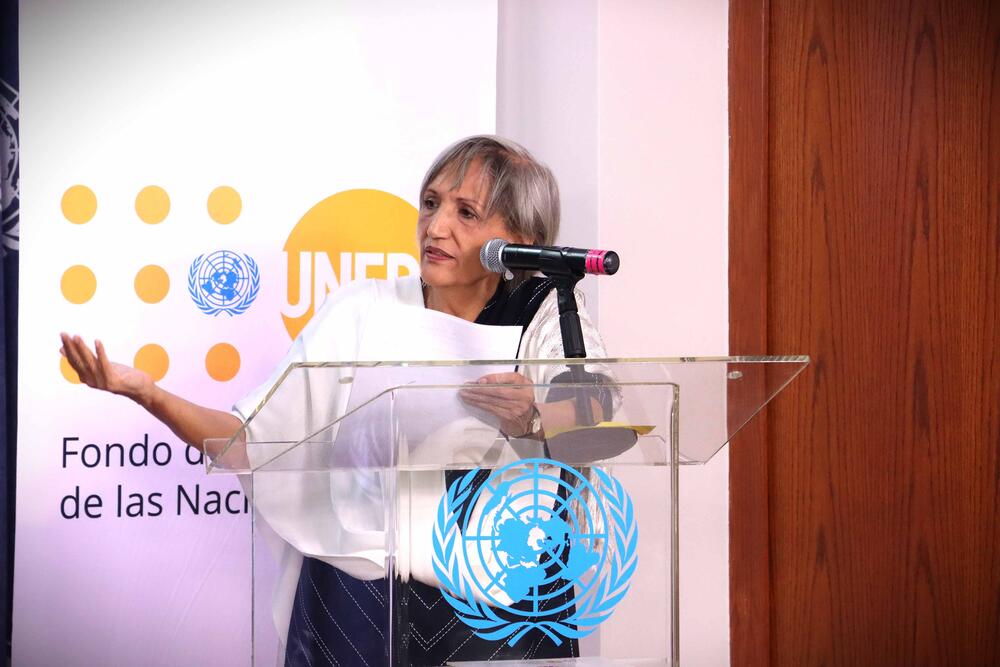 Gabriela Rodríguez, Secretaria Técnica del Consejo Nacional de Población (CONAPO)