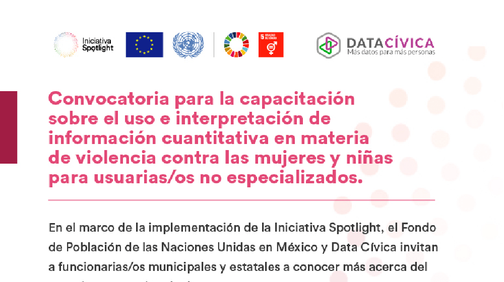 Convocatoria para la capacitación sobre el uso e interpretación de información cuantitativa en materia de violencia contra las mujeres y niñas para usuarias/os no especializados